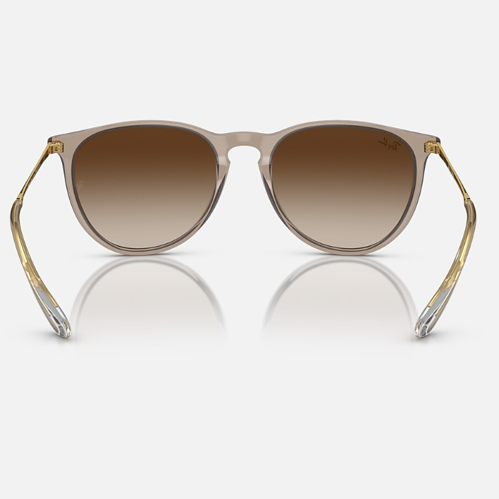 Ray Ban Men Phantos Frame Brown Sunglasses
